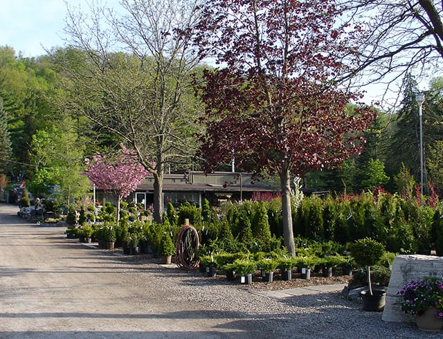 Landscaping Accessories - Evergreen Nursery